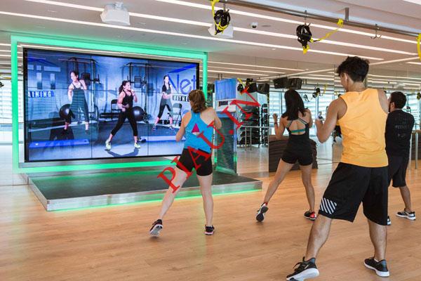Virtual Fitness: Revolutionizing How We Stay Active